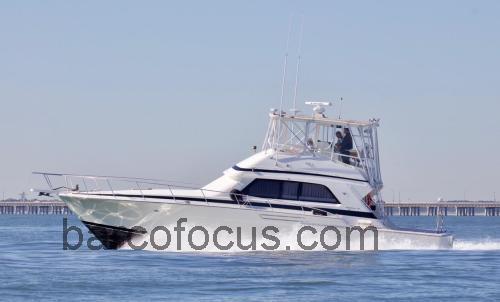 Bertram 50 Convertible ficha-técnica e avaliações